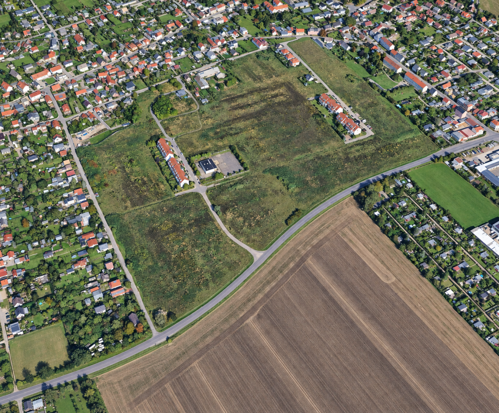 Bild (1)